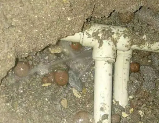 阜平卫生间测漏