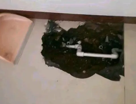 阜平卫生间测漏水多少钱